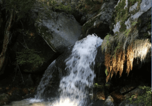 Chorrera de San Mamés