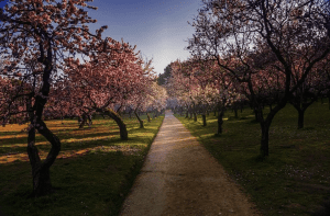 Quinta de Los Molinos