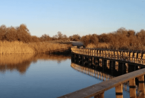 Daimiel, a 2hrs de Madrid