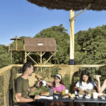 Planes Niños Madrid