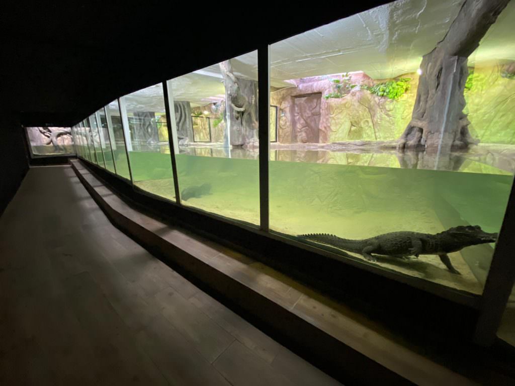 gruta cocodrilos safari madrid