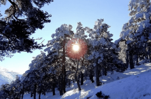 Tour raquetas de nieve