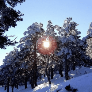 Tour raquetas de nieve
