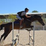 centro hipico aires de jarama