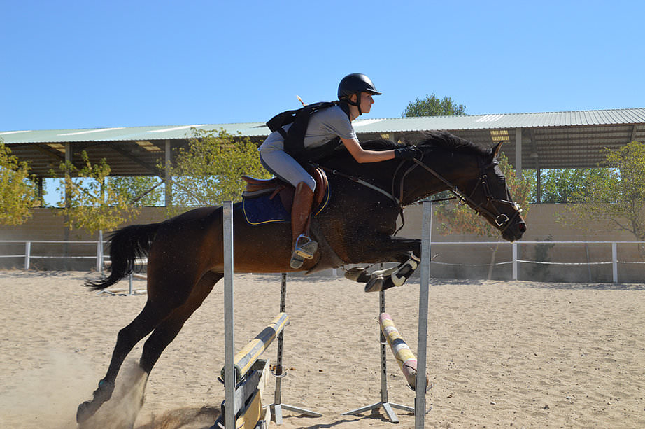 centro hipico aires de jarama
