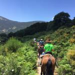 centro hipico los cerezos