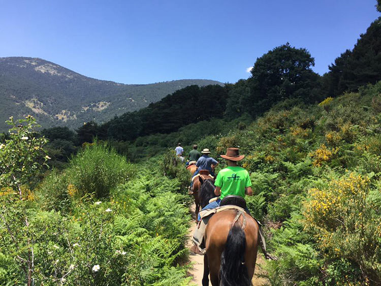 centro hipico los cerezos