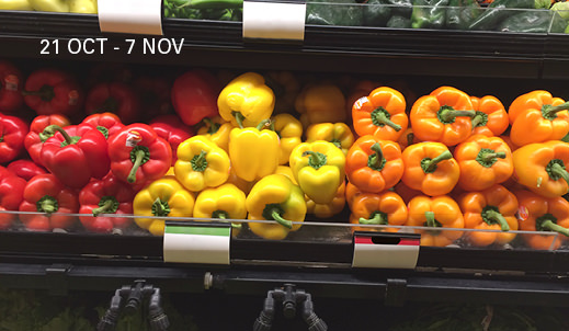 obra Fuenteovejuna. Historia del maltrato