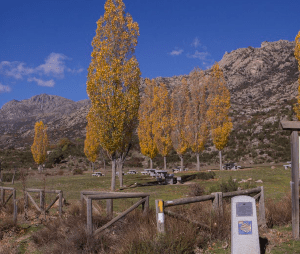 Ruta 4: Descubre desde la perspectiva de Carmen Martín Gaite, El Boalo