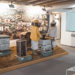 Casa Museo de la Villa Colmenar Viejo