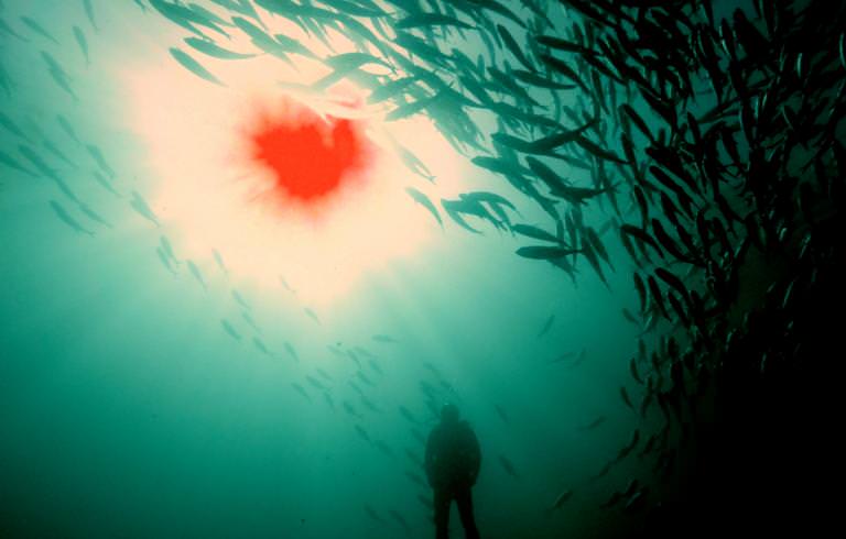 Exposición Devolver el fuego