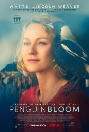 Película drama La Familia Bloom