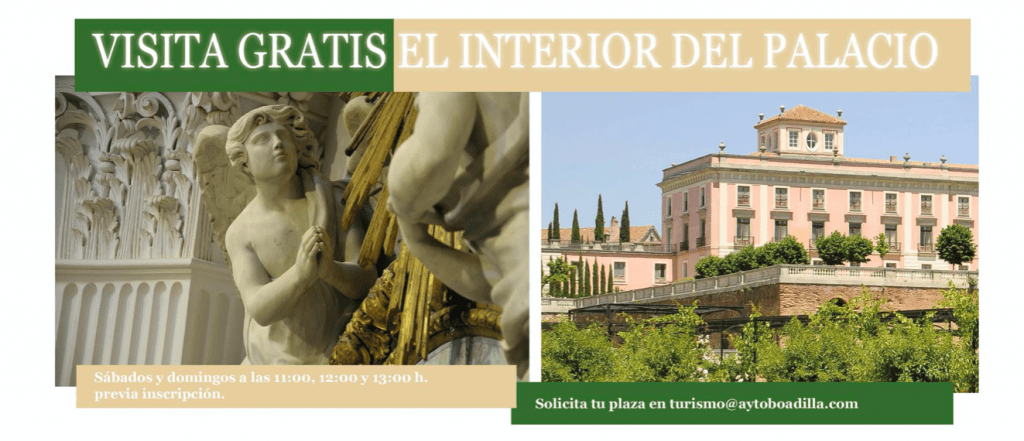 Visita guiada Palacio del Infante D. Luis