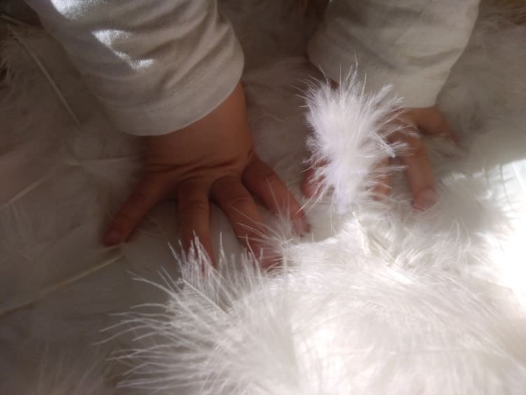 (d)Espacio espacio abierto quinta de los molinos