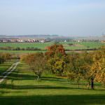 senderismo Villarejo de Salvanés