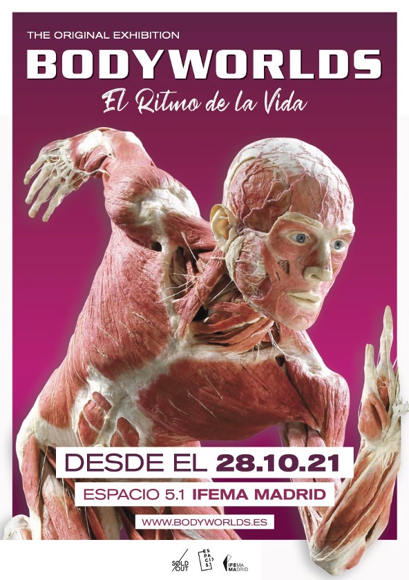 body worlds