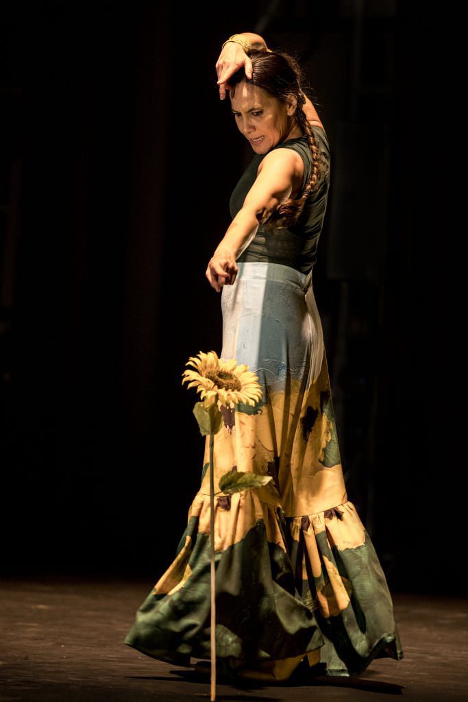 festival suma flamenca