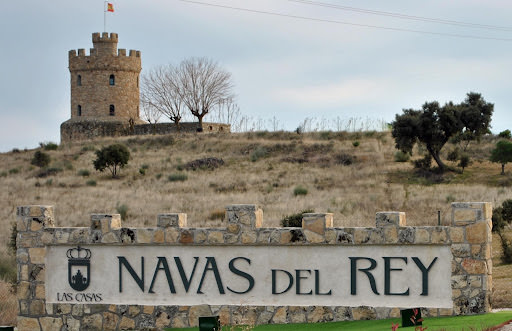 Navas del Rey