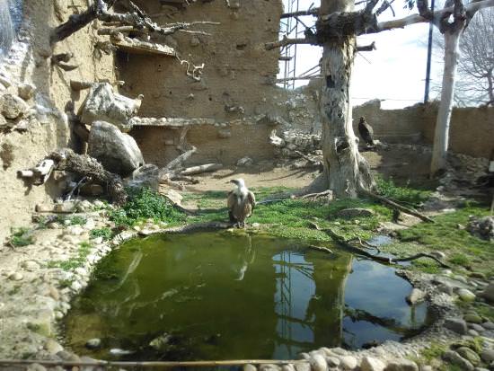 centro-de-fauna-naturanavas