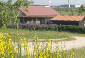 Centro de educación ambiental Bosque Sur