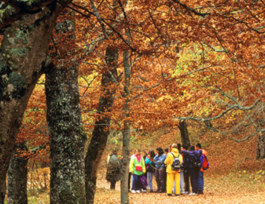 Centro de educación ambiental Hayedo de Montejo