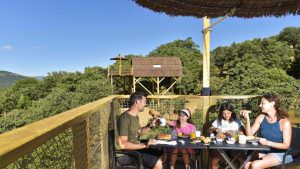 planes niños madrid